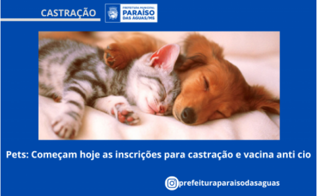 Imagem de compartilhamento para o artigo Inscrições para castração e vacinação estão abertas a partir de hoje em Paraíso das Águas da MS Todo dia